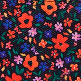 Pochette latérale Indiana State Museum — image 2
