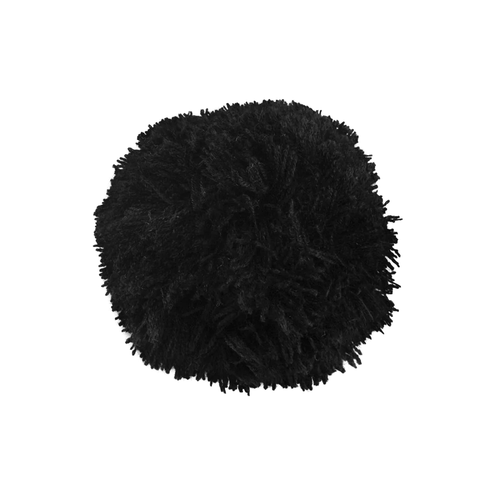 Pompon Noir (2018) — image 1