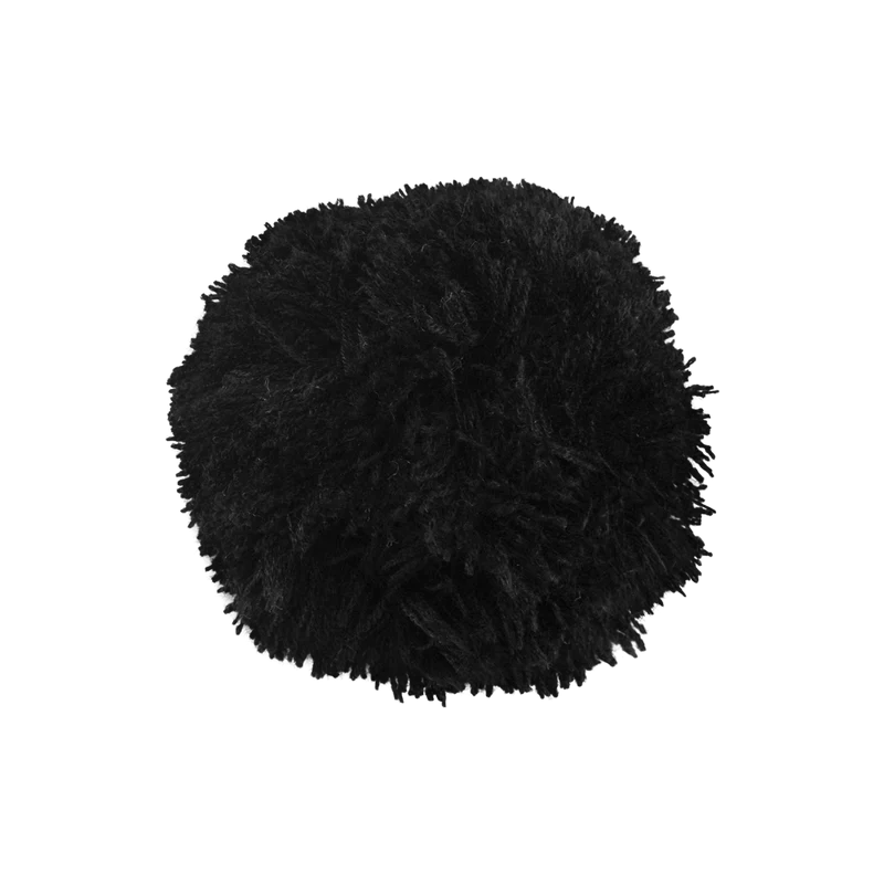 Pompon Noir (2018)