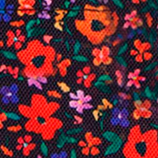 Pochette Nano Indiana State Museum — image 2